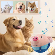PawHug™ Ball - Soft, Bouncy & Full of Joy